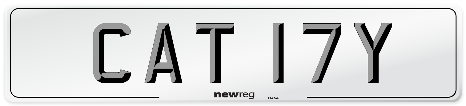 CAT 17Y Number Plate from New Reg